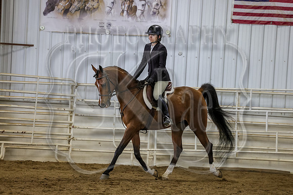 SASS-5998
