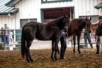 OSB_FallShow-0149