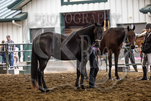 OSB_FallShow-0149