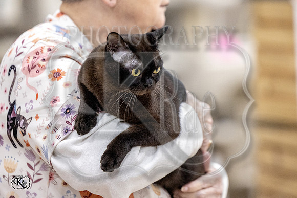 CFA_WLMGTN-0260