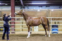 SASS-5138