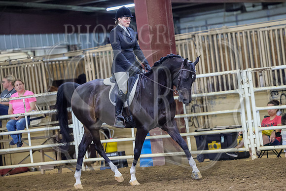 SASS-3465