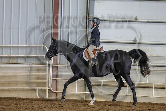 SASS-8038