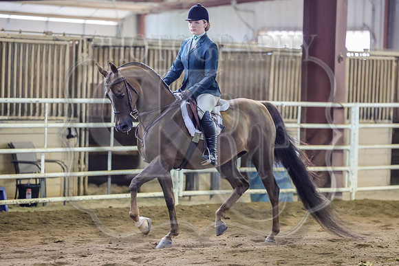 SASS-0784