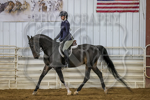 SASS-3916