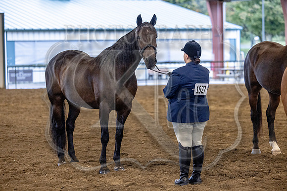 OSB_FallShow-0056