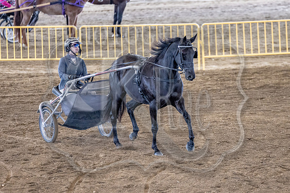 OSB_FallShow-0662