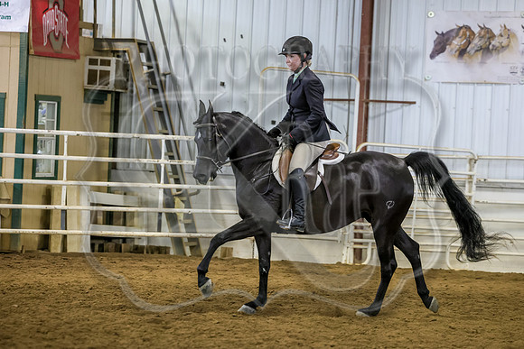 SASS-2955