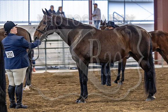 OSB_FallShow-0198