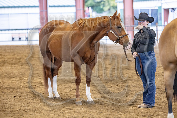 OSB_FallShow-2274