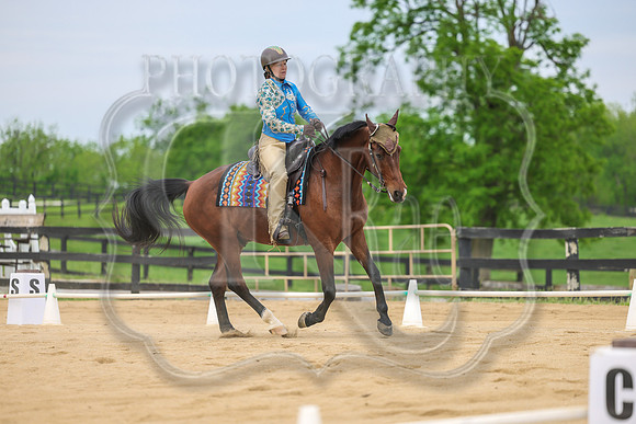 SASS-0976