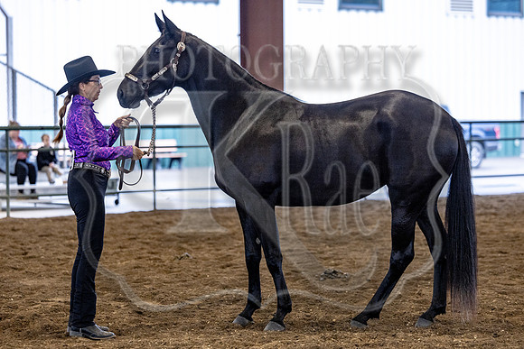 OSB_FallShow-0192
