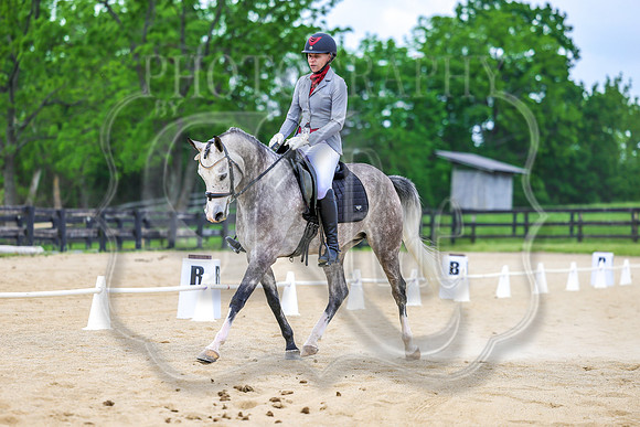 SASS-0976