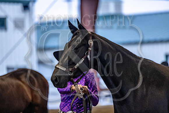OSB_FallShow-0095