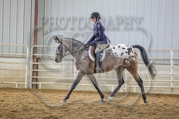 SASS-1198