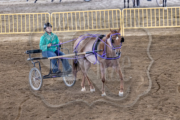 OSB_FallShow-0743