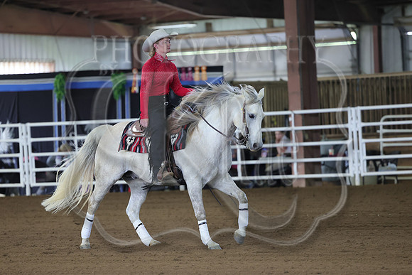 SASS-6575