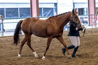OSB_FallShow-0044