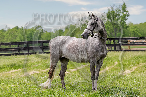 SASS-4214a