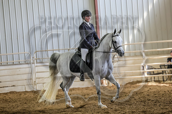 SASS-6190