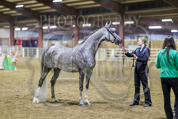 SASS-6206