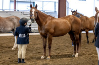 OSB_FallShow-0045