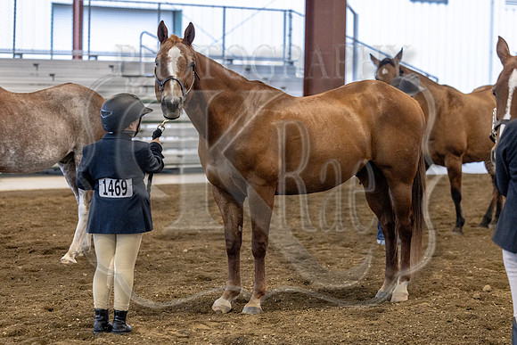 OSB_FallShow-0045