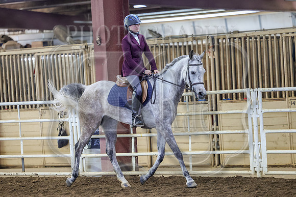 SASS-3246
