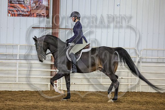 SASS-3831