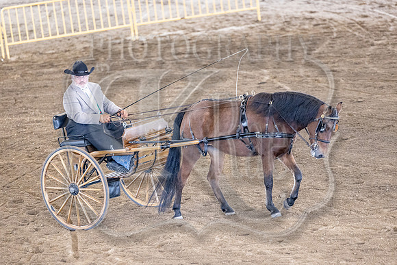 OSB_FallShow-0835