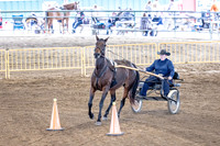 OSB_FallShow-0572