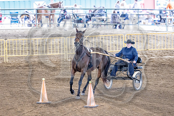 OSB_FallShow-0572