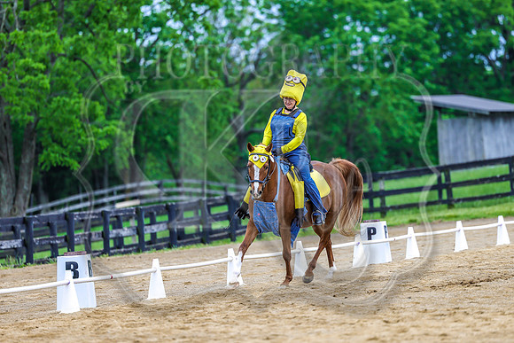 SASS-4677