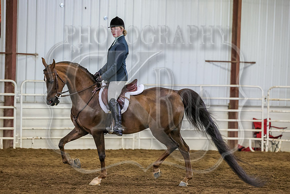 SASS-3295