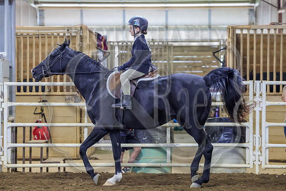 SASS-5061
