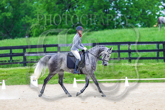 SASS-2245
