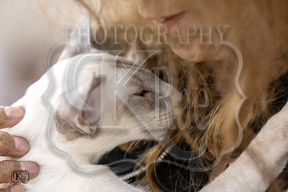 CFA_WLMGTN-0238