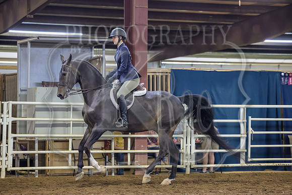 SASS-2831