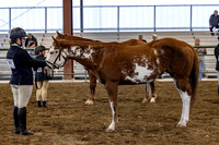 OSB_FallShow-0128