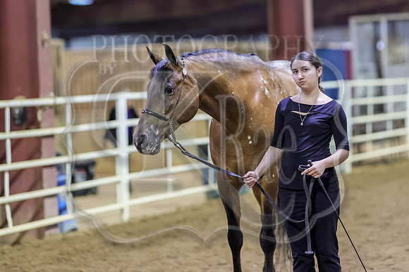SASS-5367