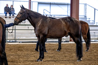 OSB_FallShow-0200