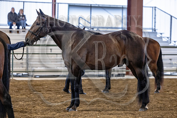 OSB_FallShow-0200