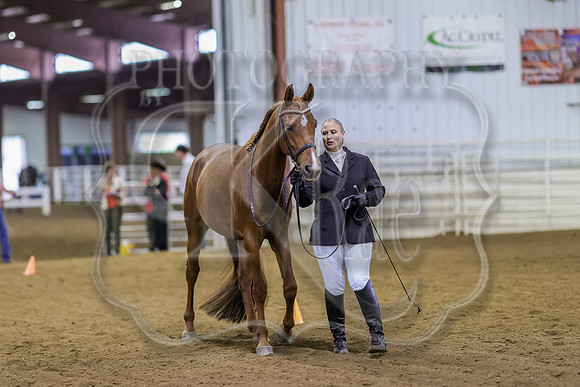 SASS-4869