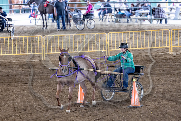 OSB_FallShow-0769