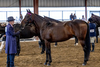 OSB_FallShow-0201