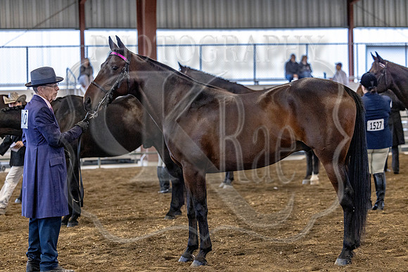 OSB_FallShow-0201