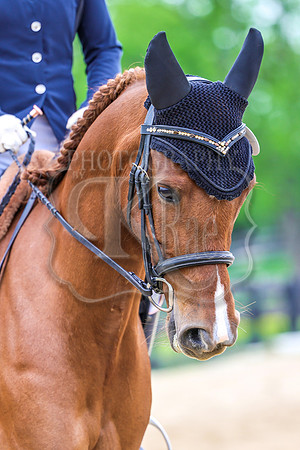 SASS-3255