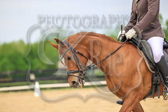 SASS-2429