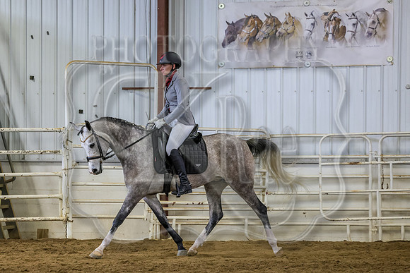 SASS-5228