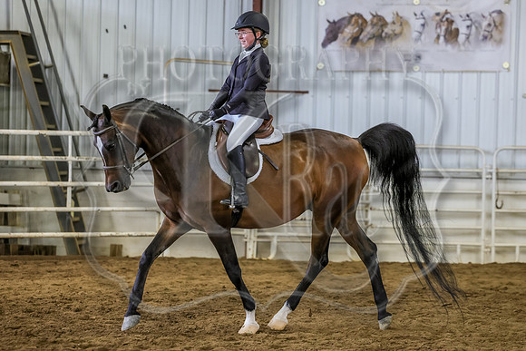SASS-4155